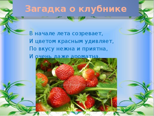 Загадка о клубнике В начале лета созревает, И цветом красным удивляет, По вкусу нежна и приятна, И очень даже ароматна.