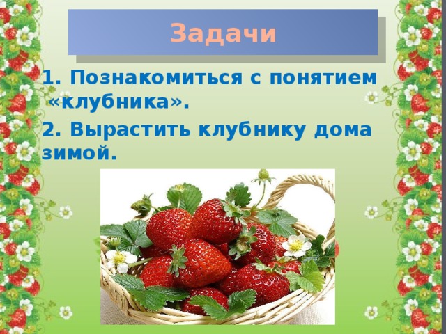 Задачи   1. Познакомиться с понятием «клубника». 2. Вырастить клубнику дома зимой.