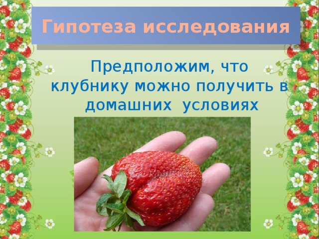 Гипотеза исследования Предположим, что клубнику можно получить в домашних условиях