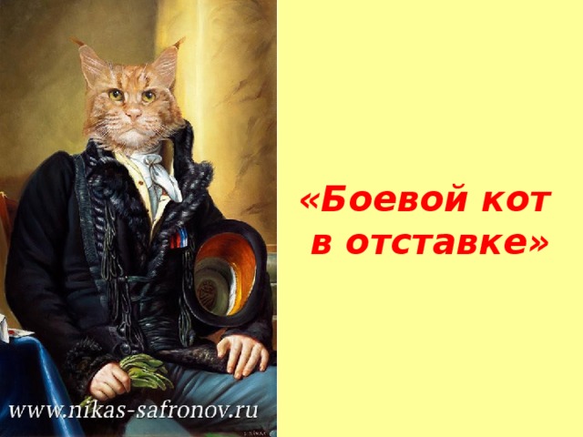 «Боевой кот  в отставке»