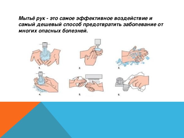 Мытьё рук - это самое эффективное воздействие и самый дешевый способ предотвратить заболевание от многих опасных болезней .