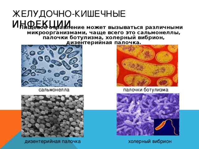 ЖЕЛУДОЧНО-КИШЕЧНЫЕ ИНФЕКЦИИ  Пищевое отравление может вызываться различными микроорганизмами, чаще всего это сальмонеллы, палочки ботулизма, холерный вибрион, дизентерийная палочка. сальмонелла палочки ботулизма холерный вибрион дизентерийная палочка