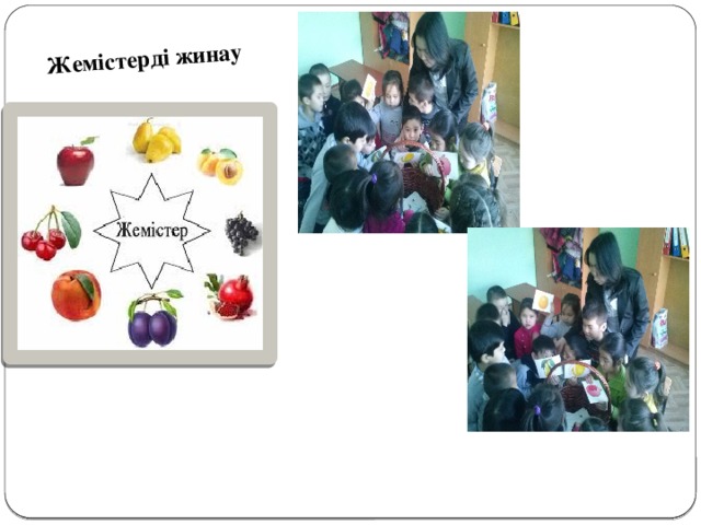 Жемістерді жинау