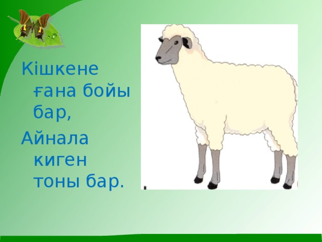 Кішкене ғана бойы бар, Айнала киген тоны бар.