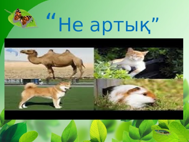 “ Не артық”