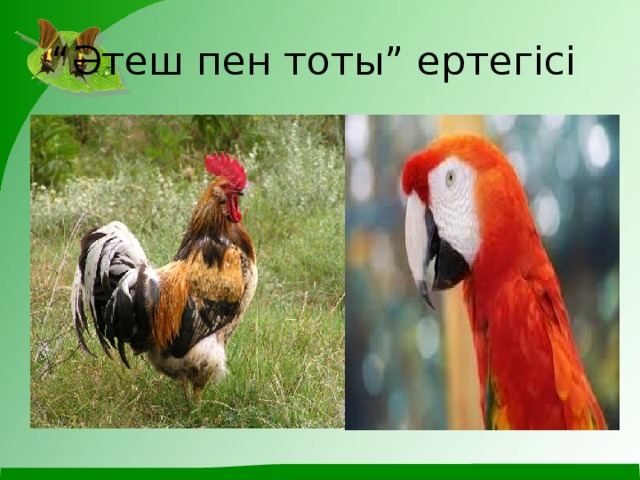 “ Әтеш пен тоты” ертегісі