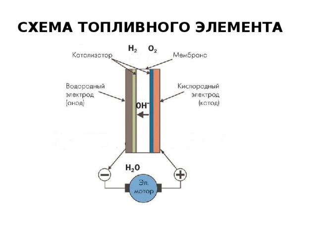 Схема кислородного электрода