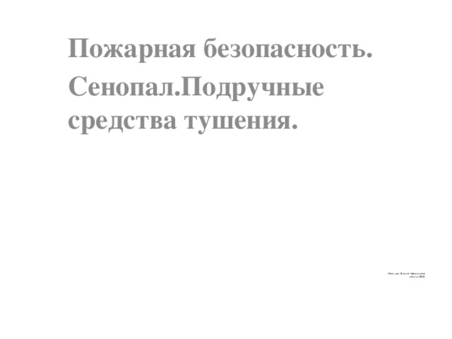 Пожарная безопасность. Сенопал.Подручные средства тушения.     Николаев Николай Афанасьевич  учитель ОБЖ