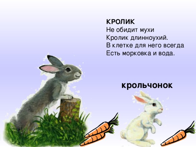 КРОЛИК Не обидит мухи  Кролик длинноухий.  В клетке для него всегда  Есть морковка и вода. крольчонок