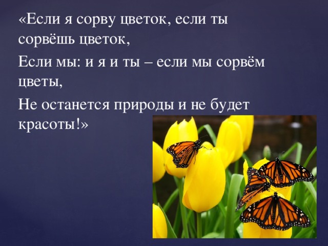 «Если я сорву цветок, если ты сорвёшь цветок, Если мы: и я и ты – если мы сорвём цветы, Не останется природы и не будет красоты!»