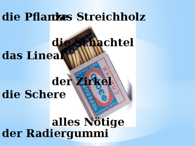 die Pflanze   das Streichholz   die Schachtel    der Zirkel    alles Nötige     das Lineal    die Schere    der Radiergummi