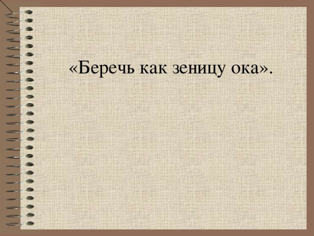 «Беречь как зеницу ока».