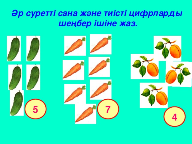 Әр суретті сана және тиісті цифрларды шеңбер ішіне жаз.  5 7 4