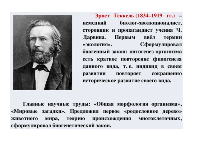 Эрнст Геккель (1834–1919 гг.) – немецкий биолог-эволюционалист, сторонник и пропагандист учения Ч. Дарвина. Первым ввёл термин «экология». Сформулировал биогенный закон: онтогенез организма есть краткое повторение филогенеза данного вида, т. е. индивид в своем развитии повторяет сокращенно историческое развитие своего вида. Главные научные труды: «Общая морфология организма», «Мировые загадки». Предложил первое «родословное дерево» животного мира, теорию происхождения многоклеточных, сформулировал биогенетический закон.