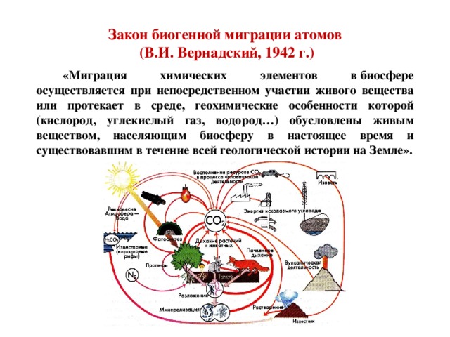 Закон биогенной миграции атомов   (В.И. Вернадский, 1942 г.)  «Миграция химических элементов в биосфере осуществляется при непосредственном участии живого вещества или протекает в среде, геохимические особенности которой (кислород, углекислый газ, водород…) обусловлены живым веществом, населяющим биосферу в настоящее время и существовавшим в течение всей геологической истории на Земле».