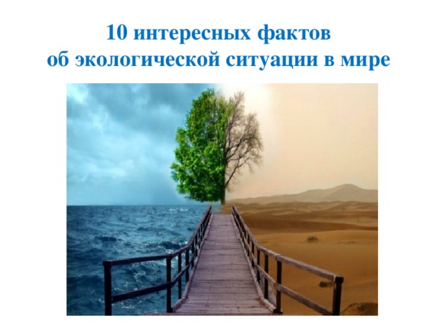 10 интересных фактов об экологической ситуации в мире