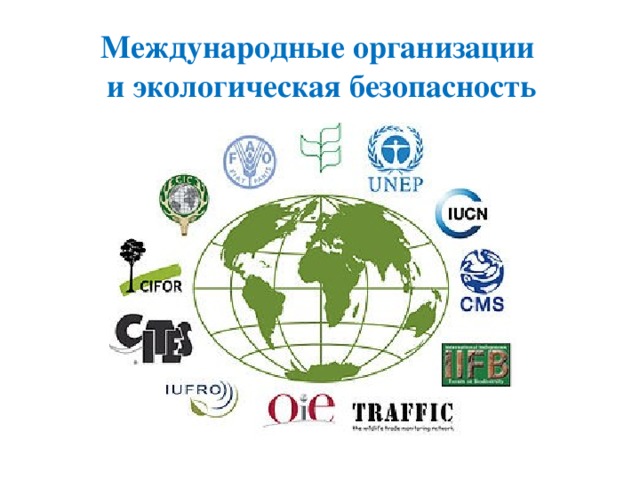 Международные организации  и экологическая безопасность