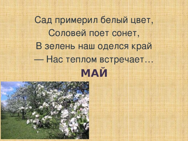 Сад примерил белый цвет, Соловей поет сонет, В зелень наш оделся край — Нас теплом встречает… МАЙ