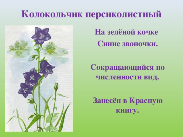 Брянской области занесены в красную книгу