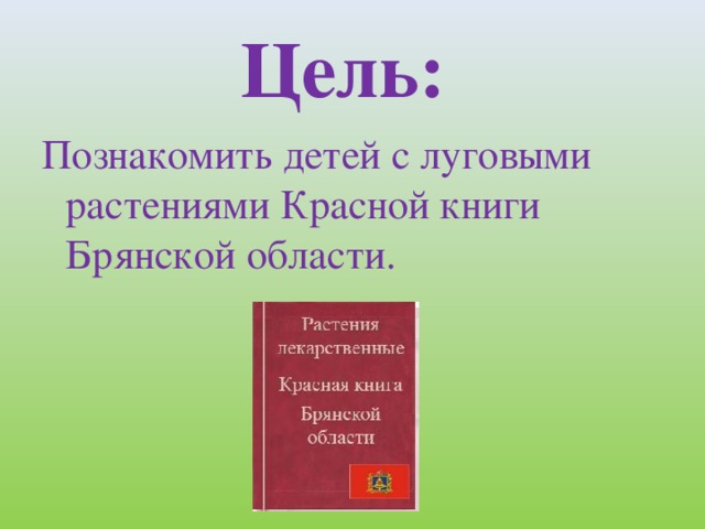 Цель: Познакомить детей с луговыми растениями Красной книги Брянской области.