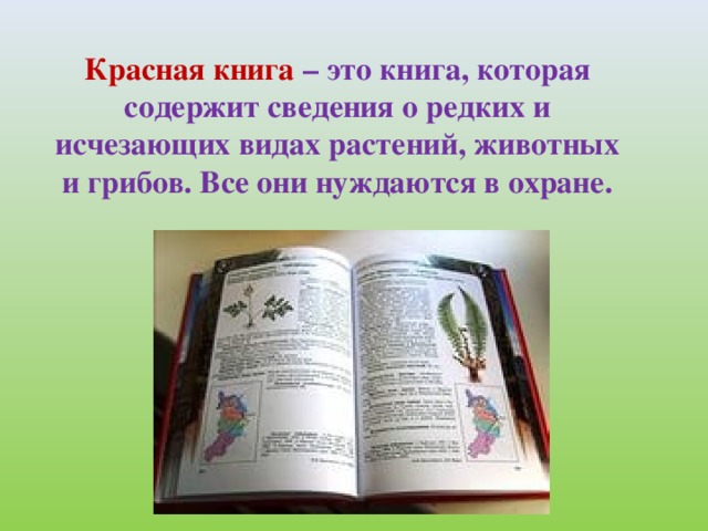 Красная книга – это книга, которая содержит сведения о редких и исчезающих видах растений, животных и грибов. Все они нуждаются в охране.