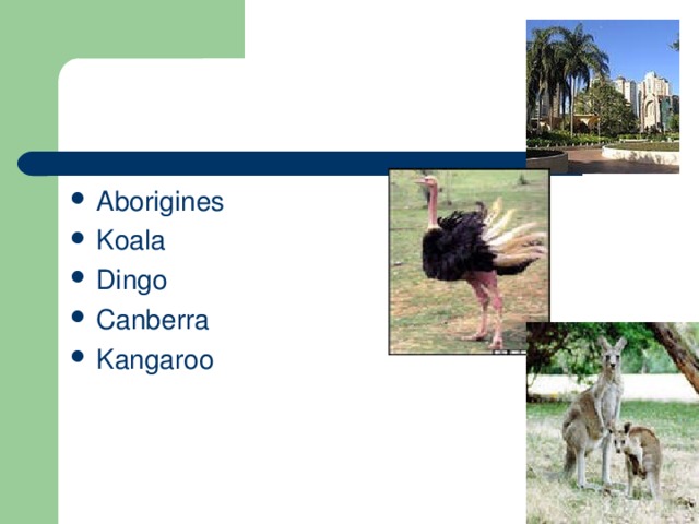 Aborigines Koala Dingo Canberra Kangaroo