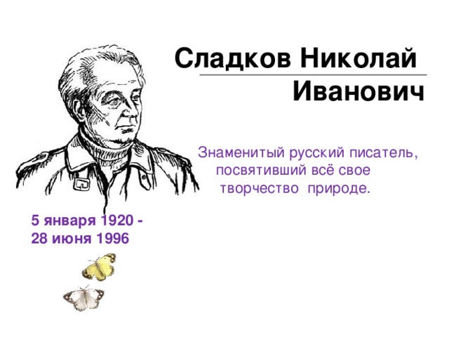 Н и сладков презентация