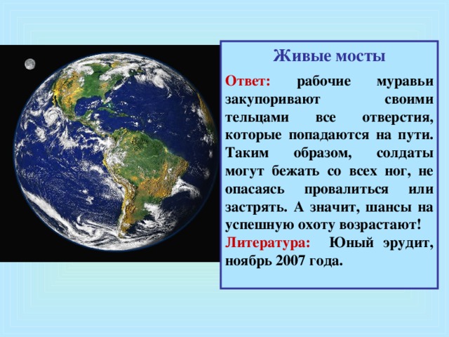 Живые мосты  Ответ: рабочие муравьи закупоривают своими тельцами все отверстия, которые попадаются на пути. Таким образом, солдаты могут бежать со всех ног, не опасаясь провалиться или застрять. А значит, шансы на успешную охоту возрастают! Литература: Юный эрудит, ноябрь 2007 года.