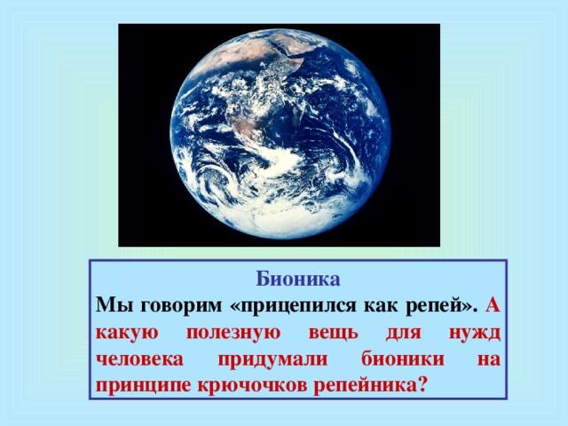 Бионика Мы говорим «прицепился как репей». А какую полезную вещь для нужд человека придумали бионики на принципе крючочков репейника?