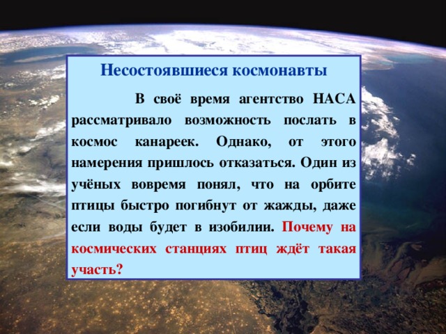 Несостоявшиеся космонавты   В своё время агентство НАСА рассматривало возможность послать в космос канареек. Однако, от этого намерения пришлось отказаться. Один из учёных вовремя понял, что на орбите птицы быстро погибнут от жажды, даже если воды будет в изобилии. Почему на космических станциях птиц ждёт такая участь?