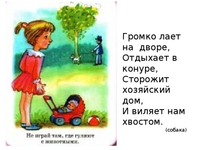 Громко лает на дворе, Отдыхает в конуре, Сторожит хозяйский дом, И виляет нам хвостом. (собака)