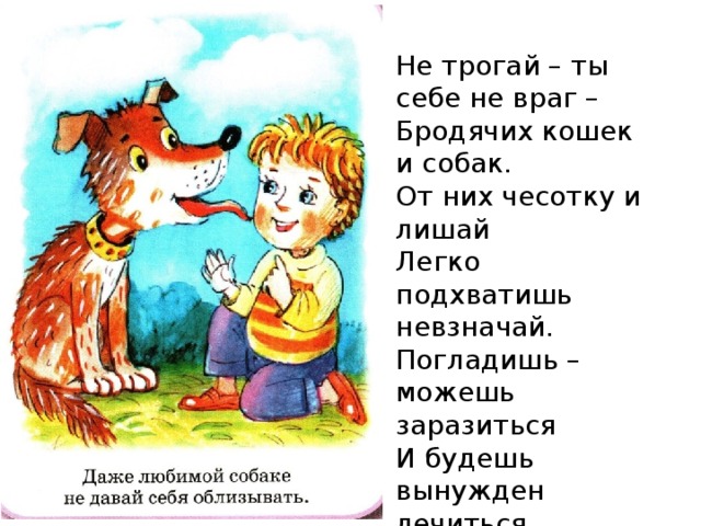 Не трогай – ты себе не враг – Бродячих кошек и собак. От них чесотку и лишай Легко подхватишь невзначай. Погладишь – можешь заразиться И будешь вынужден лечиться.