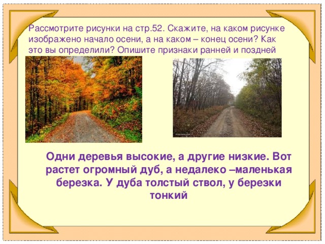 Рассмотрите рисунки на стр.52. Скажите, на каком рисунке изображено начало осени, а на каком – конец осени? Как это вы определили? Опишите признаки ранней и поздней осени. Одни деревья высокие, а другие низкие. Вот растет огромный дуб, а недалеко –маленькая березка. У дуба толстый ствол, у березки тонкий