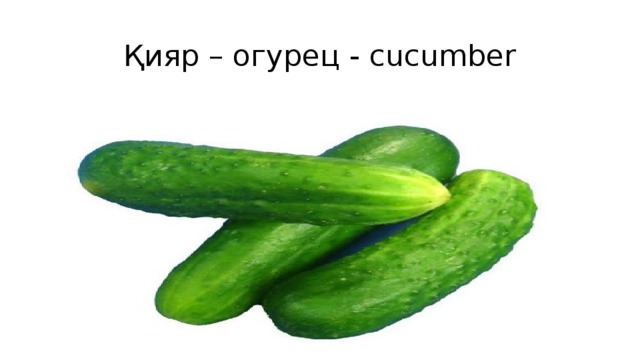 Қияр – огурец - cucumber