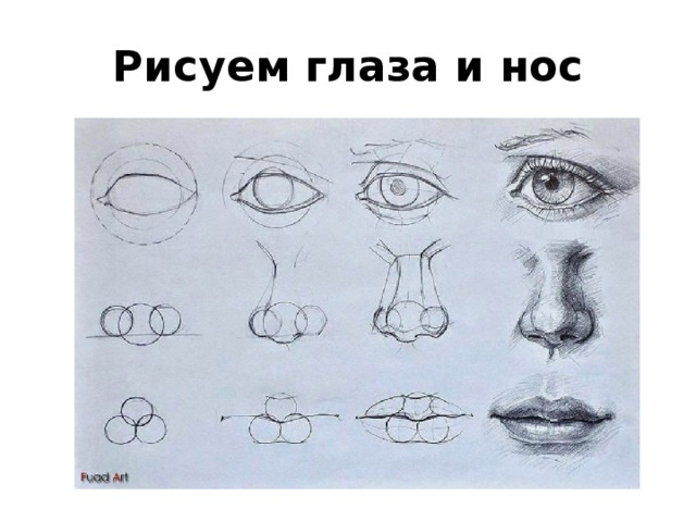 Рисуем глаза и нос