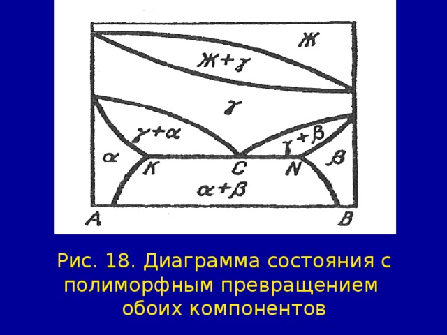 Рис. 18. Диаграмма состояния с полиморфным превращением  обоих компонентов