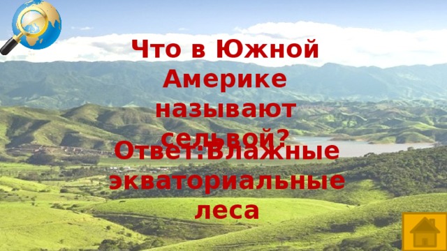 Что в Южной Америке называют сельвой? Ответ:Влажные экваториальные леса