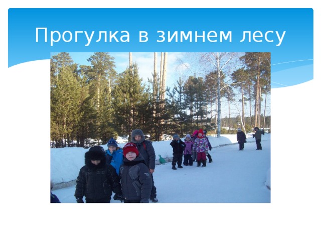 Прогулка в зимнем лесу