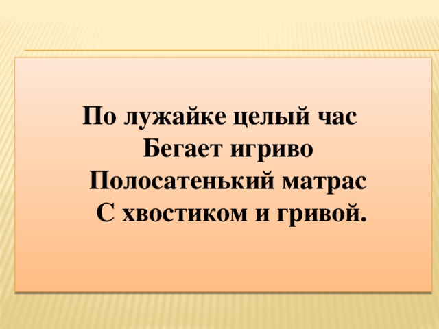 По лужайке целый час   Бегает игриво   Полосатенький матрас   С хвостиком и гривой.