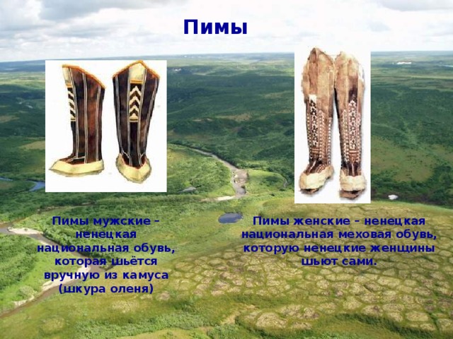 Пимы Пимы мужские – ненецкая национальная обувь, которая шьётся вручную из камуса (шкура оленя) Пимы женские – ненецкая национальная меховая обувь, которую ненецкие женщины шьют сами.