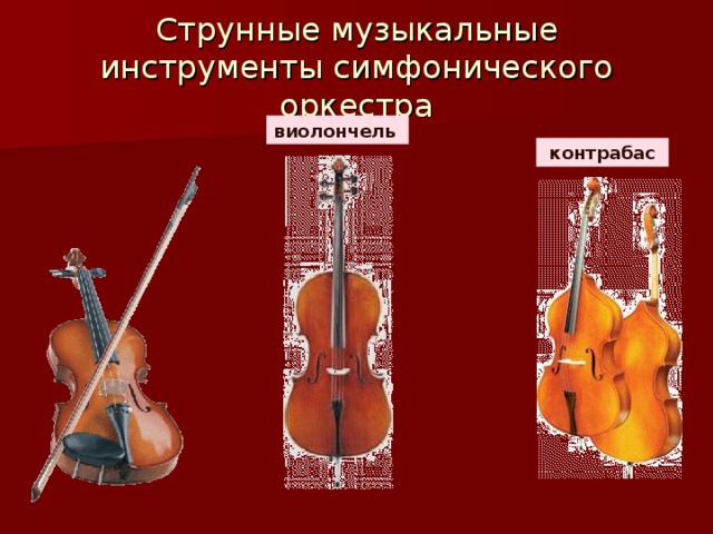 Струнные музыкальные инструменты симфонического оркестра виолончель    контрабас