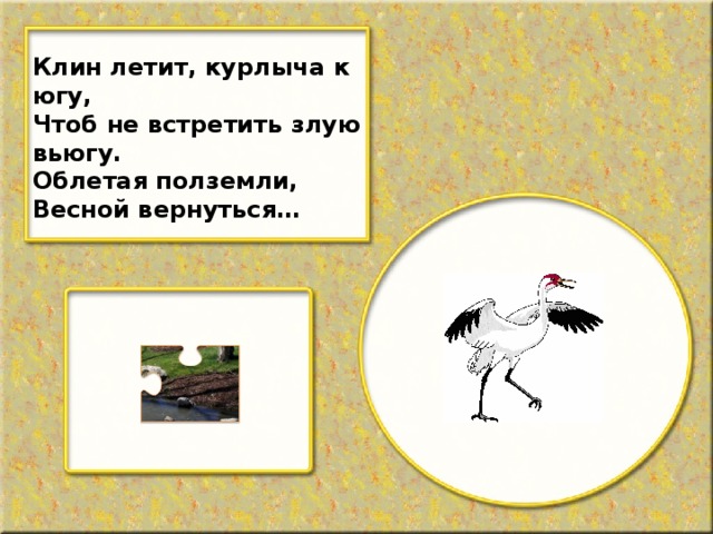 Клин летит, курлыча к югу, Чтоб не встретить злую вьюгу. Облетая полземли, Весной вернуться…