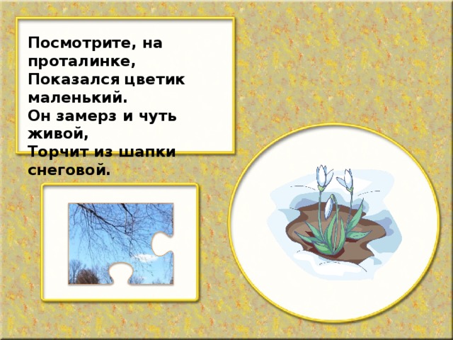 Посмотрите, на проталинке, Показался цветик маленький. Он замерз и чуть живой, Торчит из шапки снеговой.