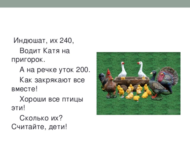   Индюшат, их 240,     Водит Катя на пригорок.     А на речке уток 200.     Как закрякают все вместе!     Хороши все птицы эти!     Сколько их? Считайте, дети!