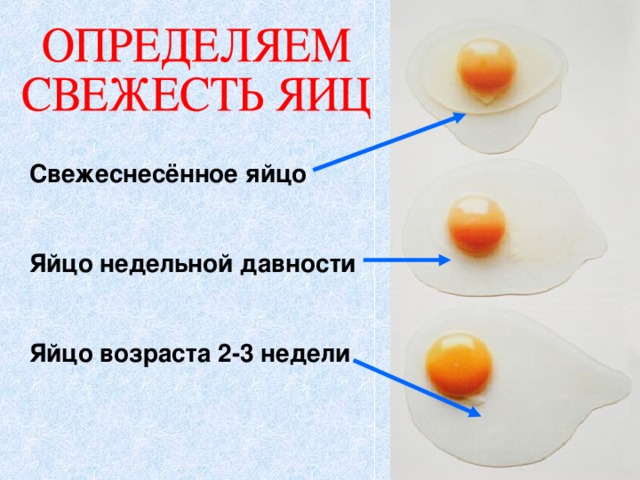 Свежеснесённое яйцо   Яйцо недельной давности   Яйцо возраста 2-3 недели