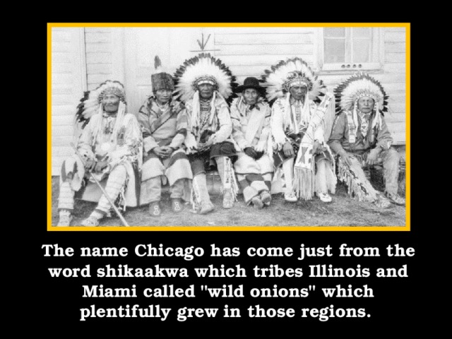 Тhe name Chicago has come just from the word shikaakwa which tribes Illinois and Miami called 