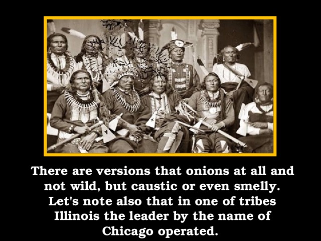 There are versions that onions at all and not wild, but caustic or even smelly. Let's note also that in one of tribes Illinois the leader by the name of Chicago operated.
