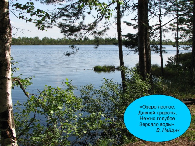 «Озеро лесное, Дивной красоты, Нежно голубое Зеркало воды» .  В. Найдич