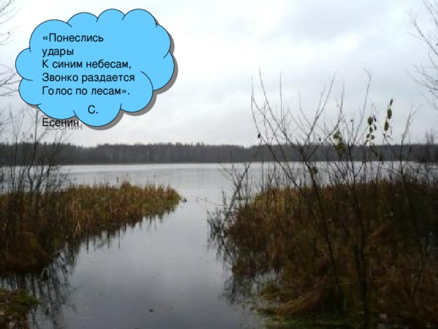 « Понеслись удары К синим небесам, Звонко раздается Голос по лесам».  С. Есенин