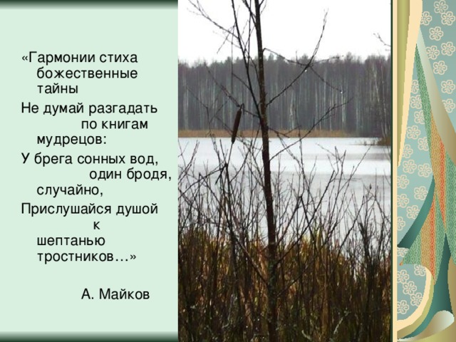 «Гармонии стиха божественные тайны Не думай разгадать по книгам мудрецов: У брега сонных вод, один бродя, случайно, Прислушайся душой к шептанью тростников…»  А. Майков